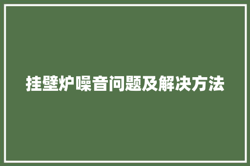 挂壁炉噪音问题及解决方法