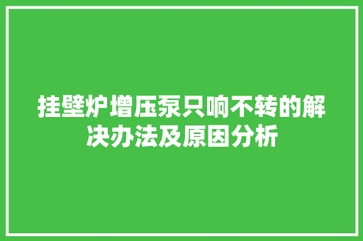 挂壁炉增压泵只响不转的解决办法及原因分析