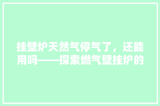 挂壁炉天然气停气了，还能用吗——探索燃气壁挂炉的备用方法