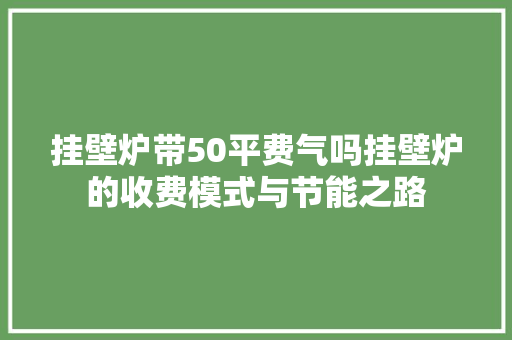 挂壁炉带50平费气吗挂壁炉的收费模式与节能之路