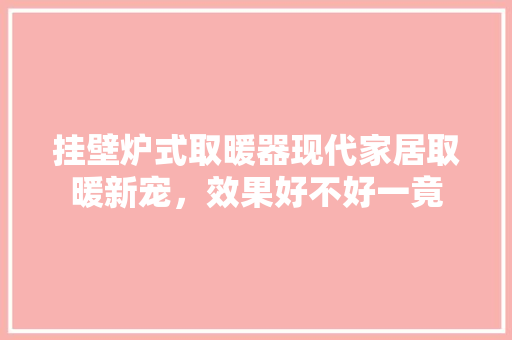 挂壁炉式取暖器现代家居取暖新宠，效果好不好一竟