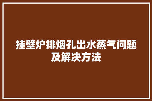 挂壁炉排烟孔出水蒸气问题及解决方法