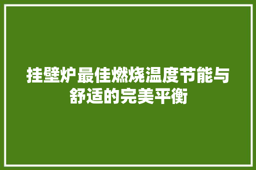 挂壁炉最佳燃烧温度节能与舒适的完美平衡