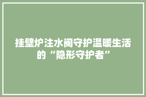 挂壁炉注水阀守护温暖生活的“隐形守护者”