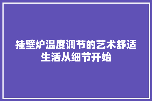挂壁炉温度调节的艺术舒适生活从细节开始
