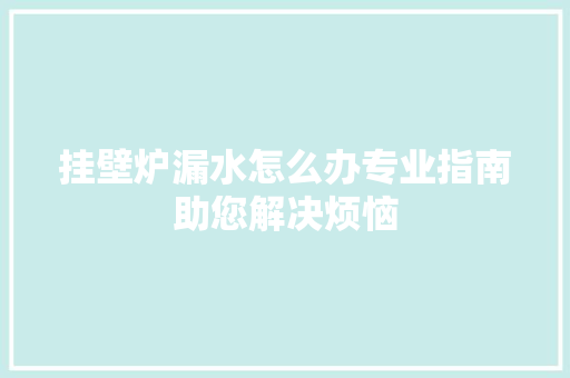 挂壁炉漏水怎么办专业指南助您解决烦恼