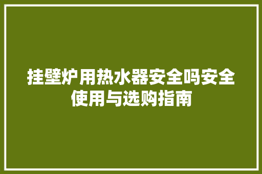 挂壁炉用热水器安全吗安全使用与选购指南