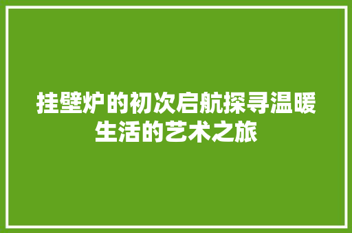 挂壁炉的初次启航探寻温暖生活的艺术之旅