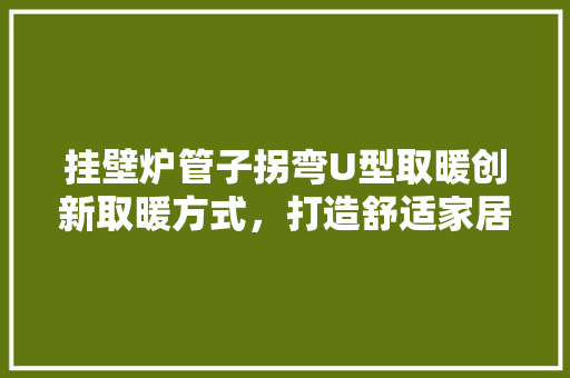 挂壁炉管子拐弯U型取暖创新取暖方式，打造舒适家居环境