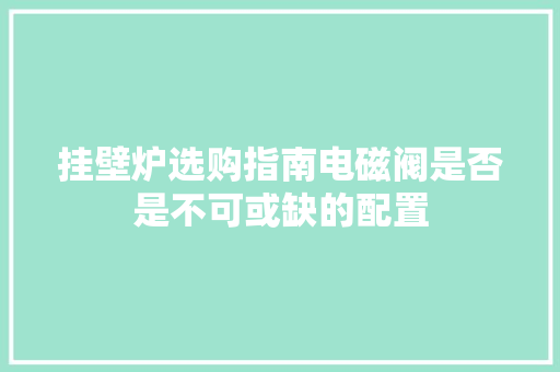 挂壁炉选购指南电磁阀是否是不可或缺的配置
