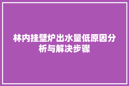 林内挂壁炉出水量低原因分析与解决步骤 家电维修