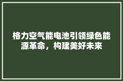 格力空气能电池引领绿色能源革命，构建美好未来