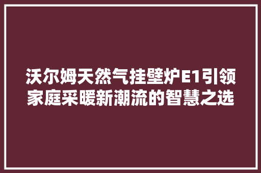 沃尔姆天然气挂壁炉E1引领家庭采暖新潮流的智慧之选