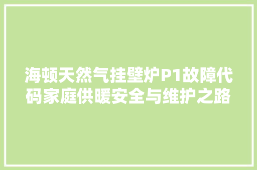 海顿天然气挂壁炉P1故障代码家庭供暖安全与维护之路