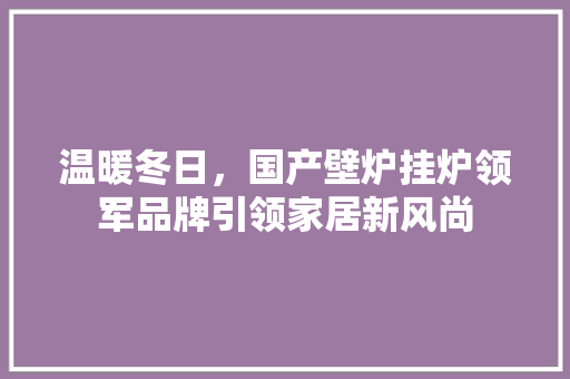 温暖冬日，国产壁炉挂炉领军品牌引领家居新风尚