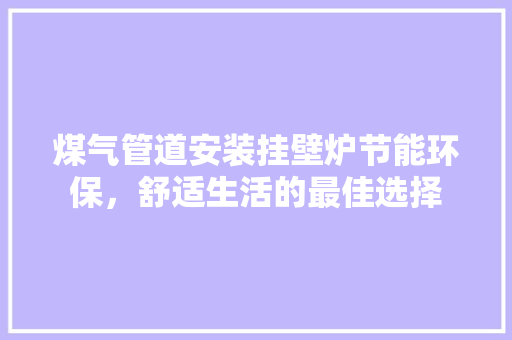 煤气管道安装挂壁炉节能环保，舒适生活的最佳选择