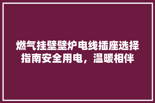 燃气挂壁壁炉电线插座选择指南安全用电，温暖相伴