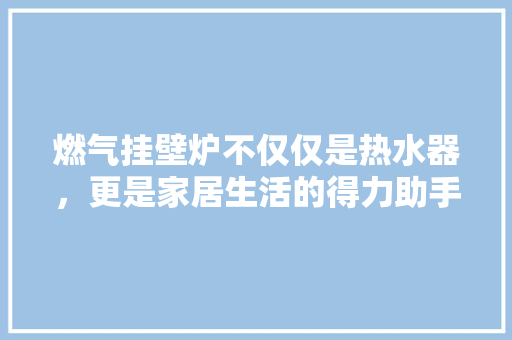 燃气挂壁炉不仅仅是热水器，更是家居生活的得力助手