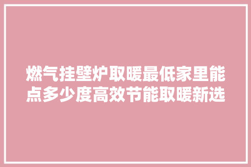 燃气挂壁炉取暖最低家里能点多少度高效节能取暖新选择