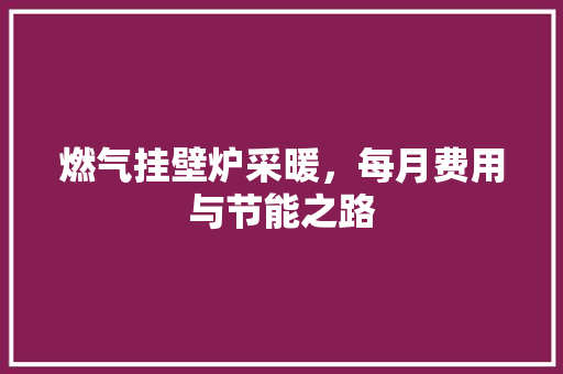 燃气挂壁炉采暖，每月费用与节能之路