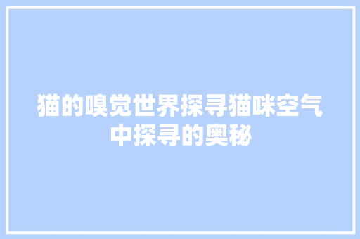 猫的嗅觉世界探寻猫咪空气中探寻的奥秘