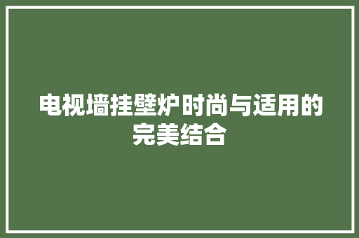 电视墙挂壁炉时尚与适用的完美结合