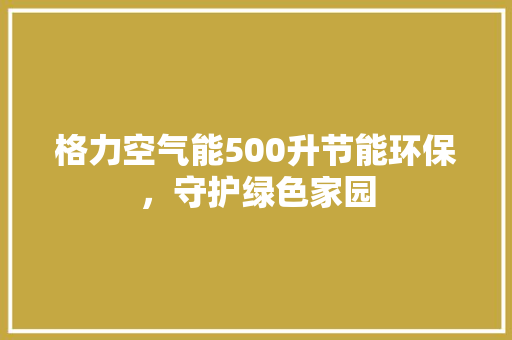 格力空气能500升节能环保，守护绿色家园 墙体维修