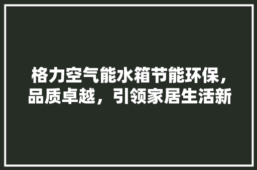 格力空气能水箱节能环保，品质卓越，引领家居生活新潮流 厨房维修