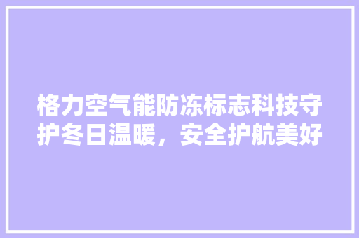 格力空气能防冻标志科技守护冬日温暖，安全护航美好生活 厨房维修