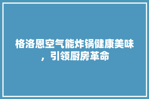 格洛恩空气能炸锅健康美味，引领厨房革命 综合便民