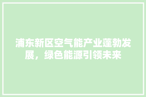 浦东新区空气能产业蓬勃发展，绿色能源引领未来