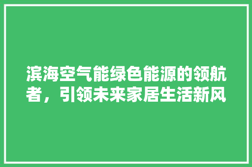 滨海空气能绿色能源的领航者，引领未来家居生活新风尚