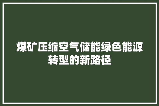 煤矿压缩空气储能绿色能源转型的新路径 家电维修
