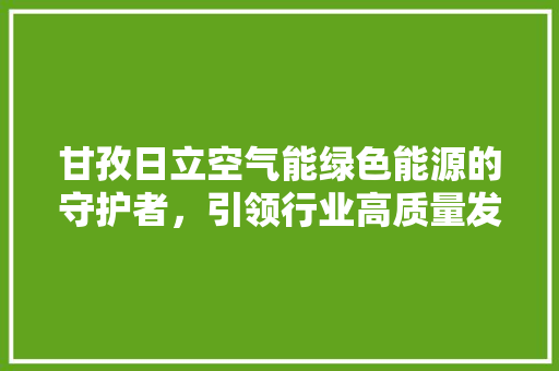 甘孜日立空气能绿色能源的守护者，引领行业高质量发展