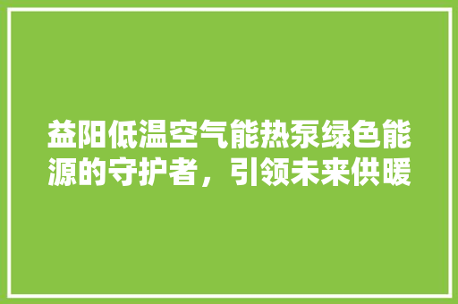 益阳低温空气能热泵绿色能源的守护者，引领未来供暖新潮流