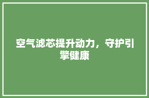 空气滤芯提升动力，守护引擎健康