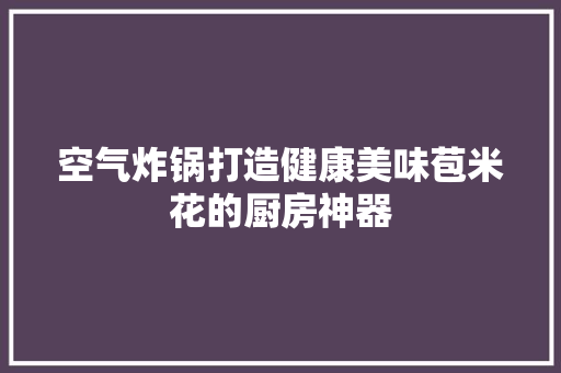 空气炸锅打造健康美味苞米花的厨房神器