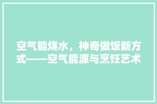 空气能烧水，神奇做饭新方式——空气能源与烹饪艺术完美结合