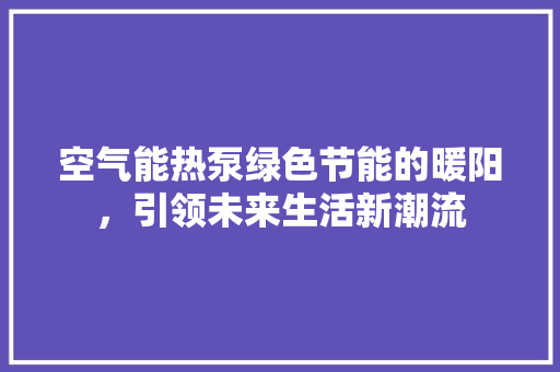 空气能热泵绿色节能的暖阳，引领未来生活新潮流
