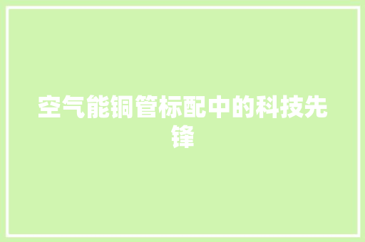 空气能铜管标配中的科技先锋 墙体维修