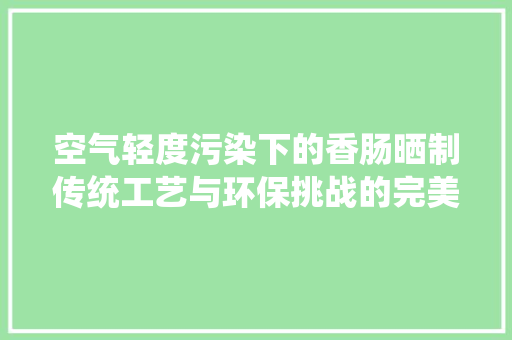 空气轻度污染下的香肠晒制传统工艺与环保挑战的完美融合