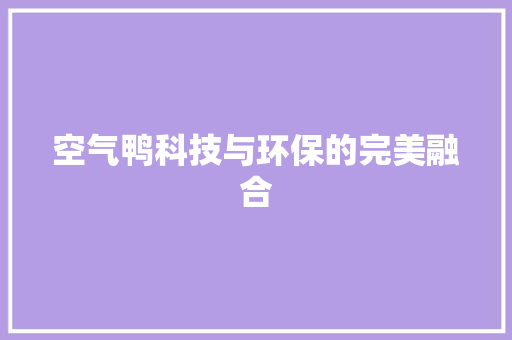 空气鸭科技与环保的完美融合