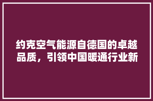 约克空气能源自德国的卓越品质，引领中国暖通行业新潮流