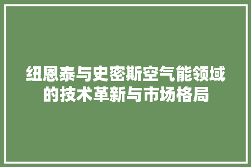纽恩泰与史密斯空气能领域的技术革新与市场格局