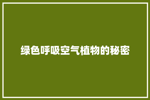 绿色呼吸空气植物的秘密
