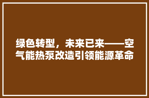 绿色转型，未来已来——空气能热泵改造引领能源革命