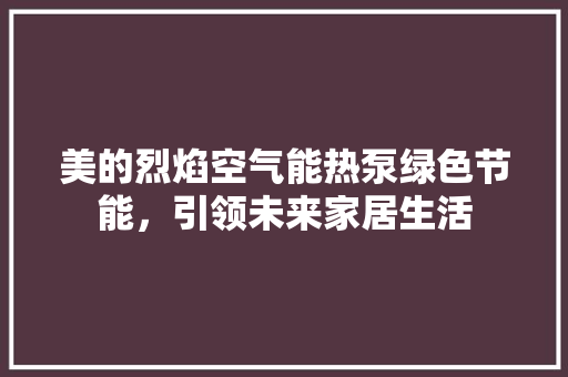 美的烈焰空气能热泵绿色节能，引领未来家居生活