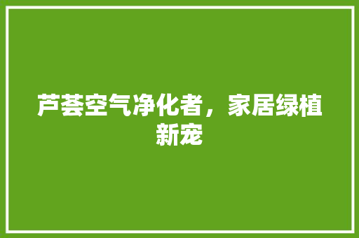芦荟空气净化者，家居绿植新宠