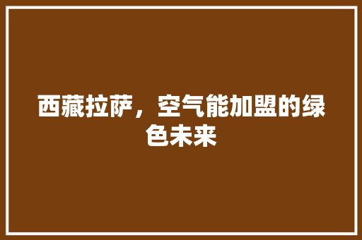 西藏拉萨，空气能加盟的绿色未来