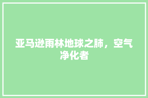 亚马逊雨林地球之肺，空气净化者